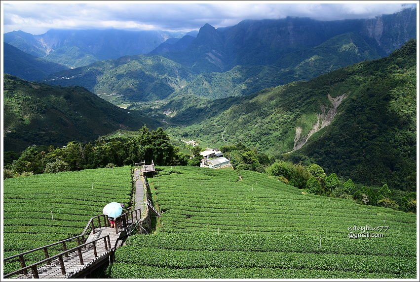 樟樹湖山角鐵茶屋 (14).JPG