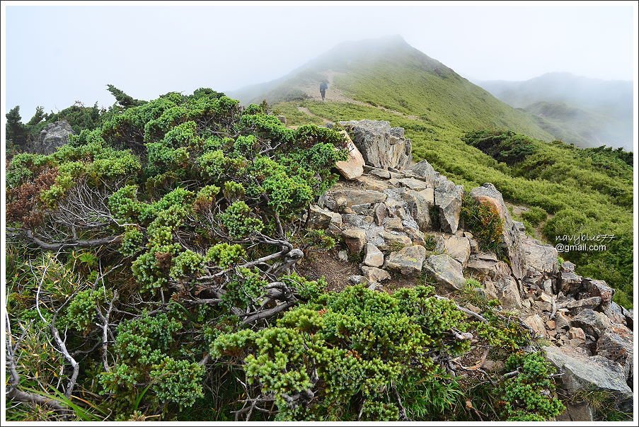 合歡山石門山哈哈山 (57).JPG