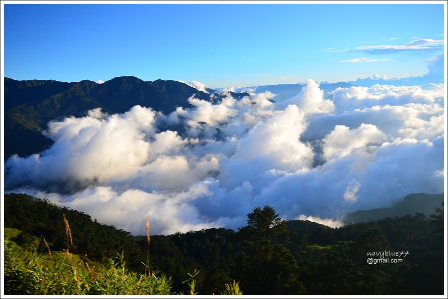 合歡山石門山哈哈山 (66).JPG