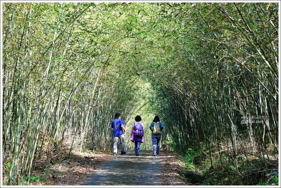 茶山屯阿巴娜步道 (13).JPG