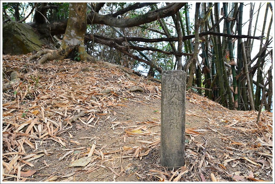 露月縱走克孝峰 (18).JPG