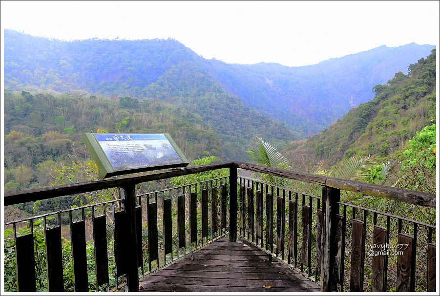 新美香樟林步道 (28).JPG