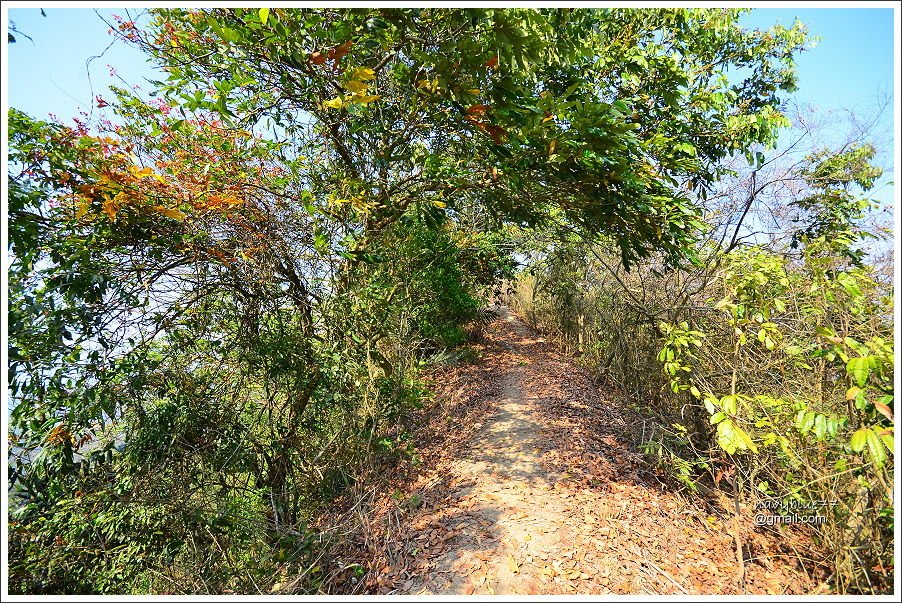 龍湖-烏山步道 (12).JPG