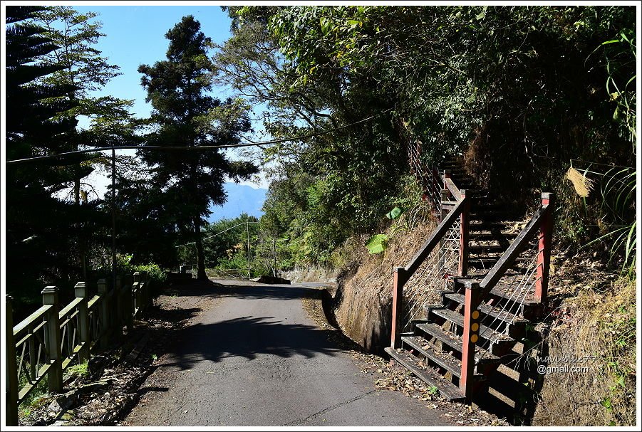 五峰山步道 (16).JPG