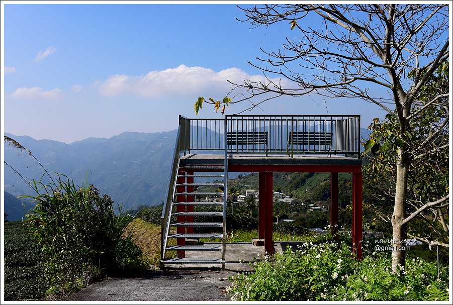 櫟櫟在木步道 (9).JPG