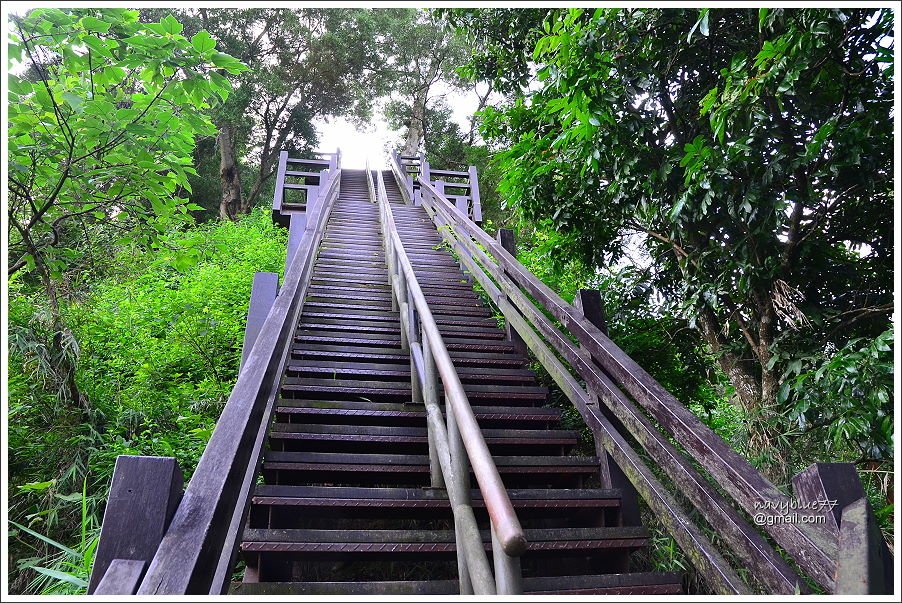 中央嶺十八彎古道 (9).JPG