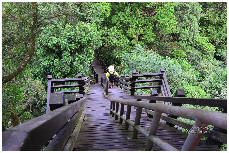 中央嶺十八彎古道 (10).JPG