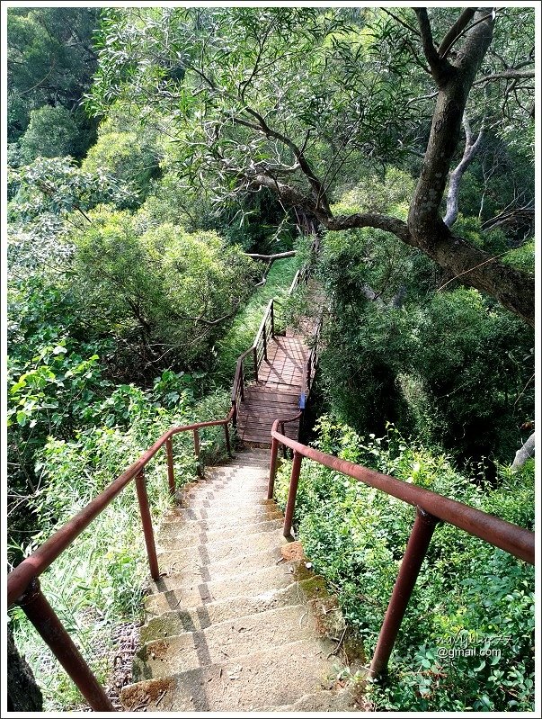 中央嶺十八彎古道 (23).jpg