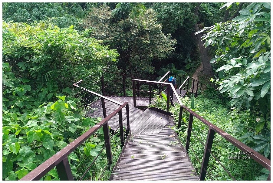 中央嶺十八彎古道 (24).jpg