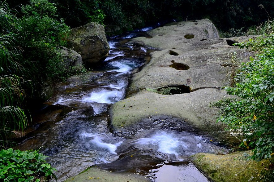 竹篙水溪步道 (2).JPG