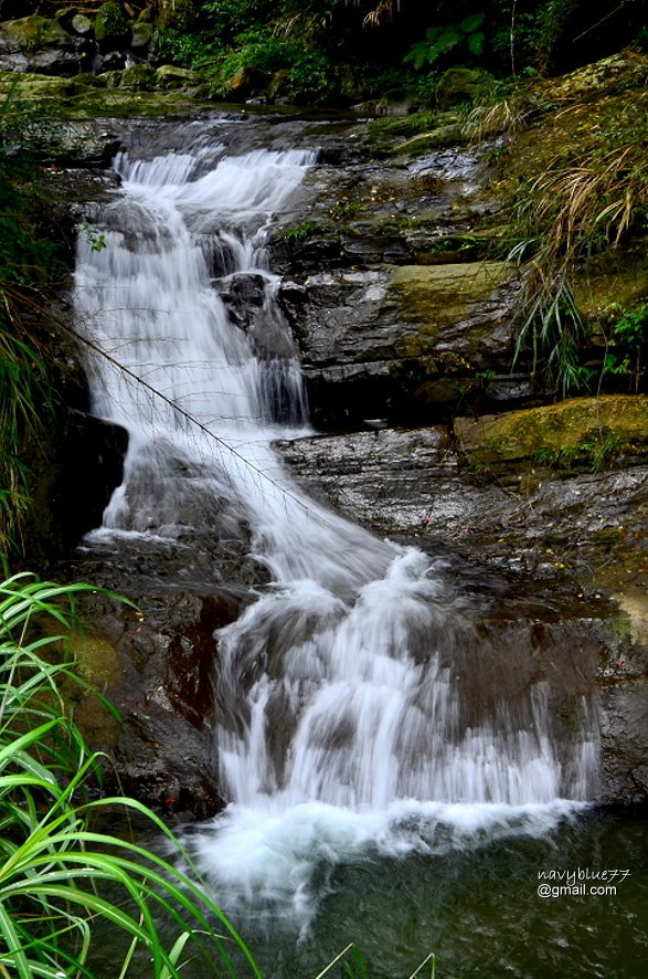 竹篙水溪步道 (9).JPG