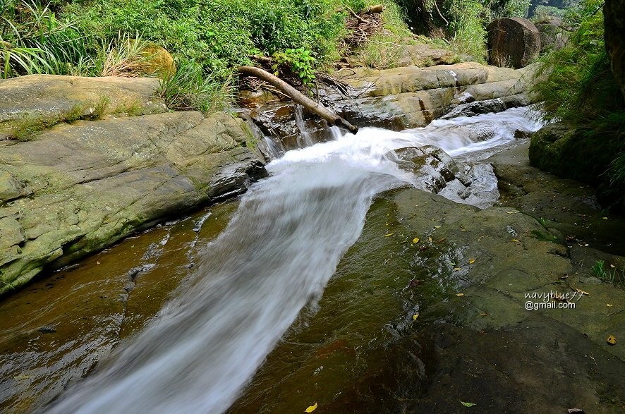 竹篙水溪步道 (15).JPG