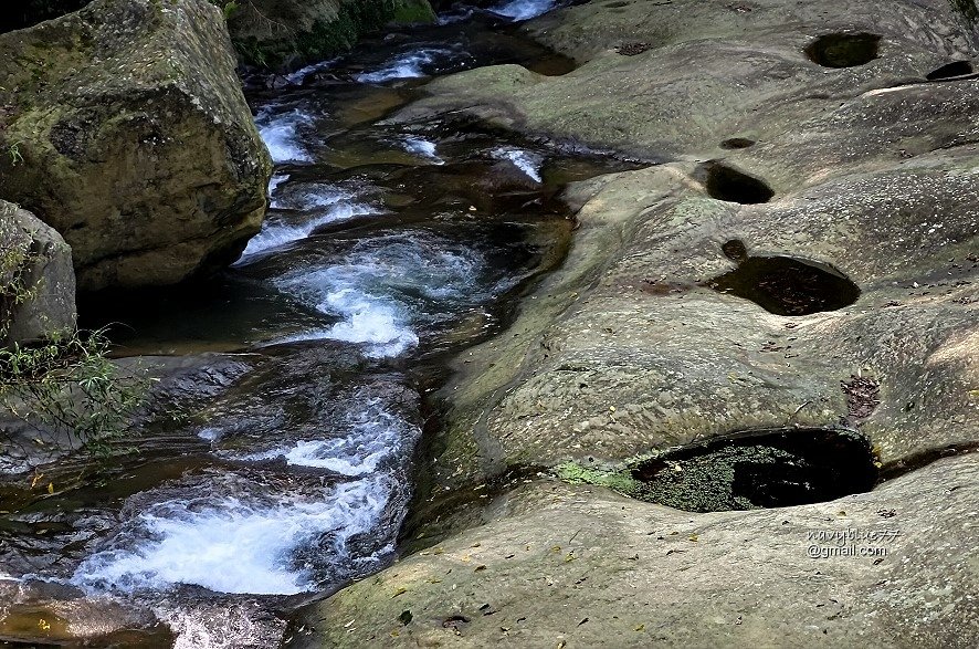 竹篙水溪步道 (22).jpg