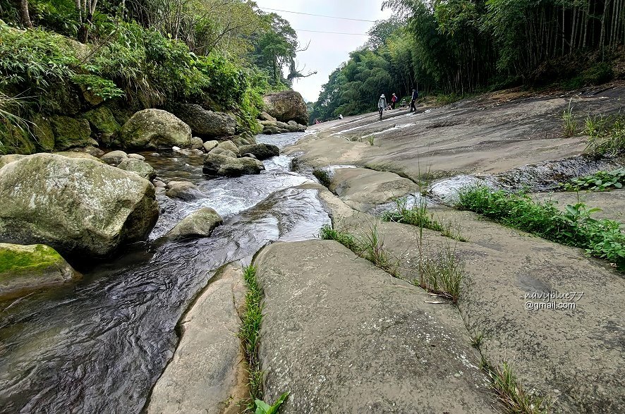 竹篙水溪步道 (34).jpg