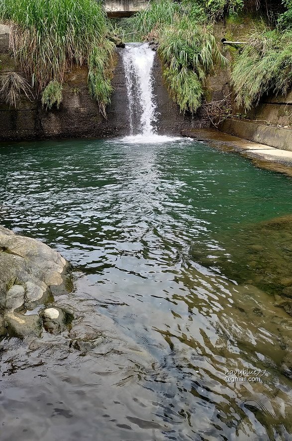 竹篙水溪步道 (33).jpg