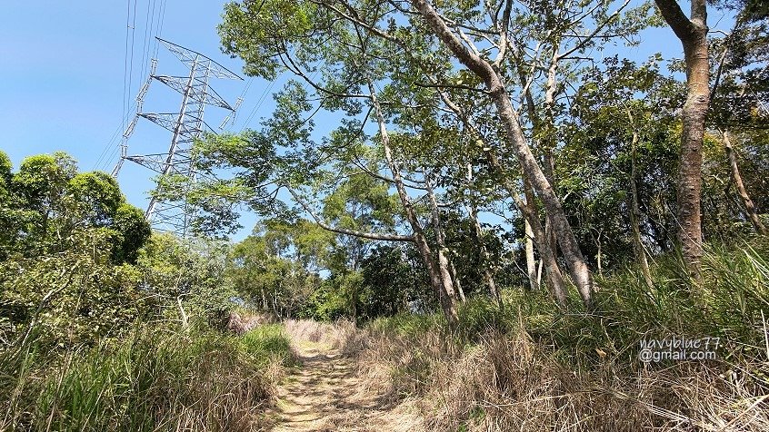 烏山嶺水利古道 (53).jpg