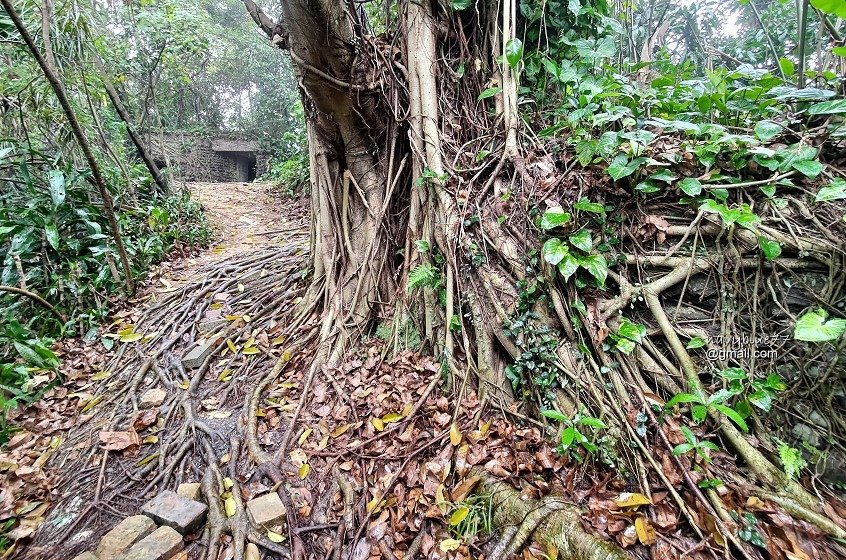 獅球嶺東砲台南榮山 (28).jpg