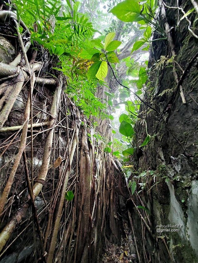 獅球嶺東砲台南榮山 (49).jpg