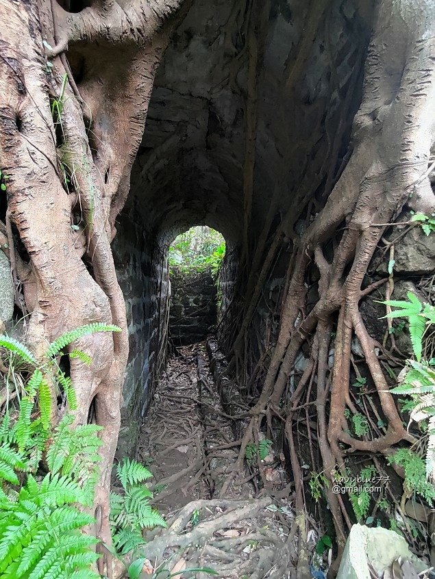 獅球嶺東砲台南榮山 (48).jpg