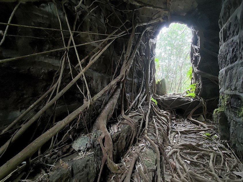 獅球嶺東砲台南榮山 (52).jpg