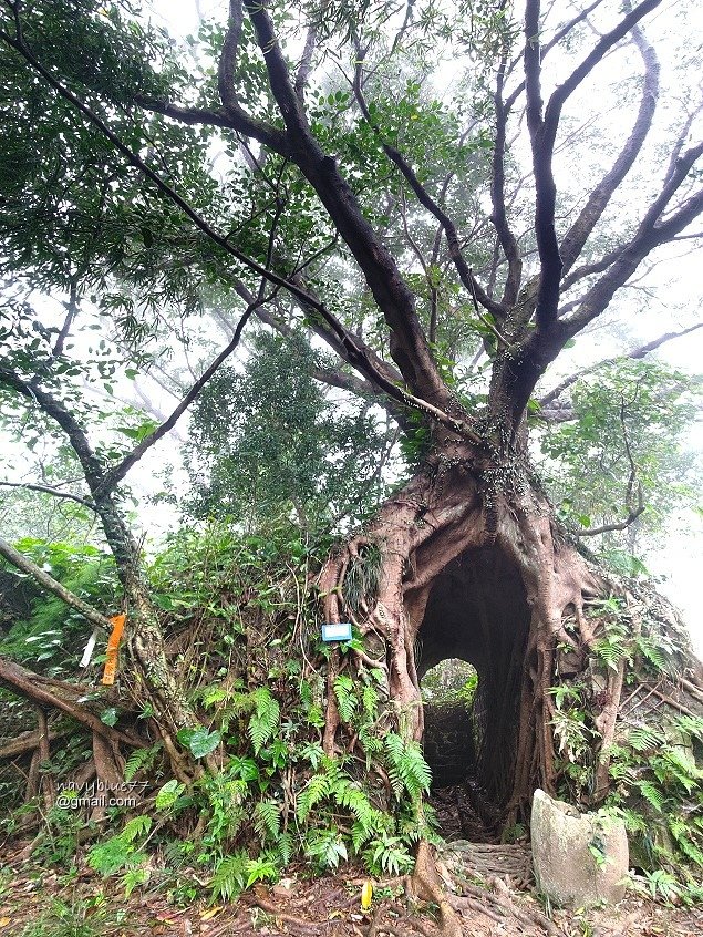 獅球嶺東砲台南榮山 (54).jpg