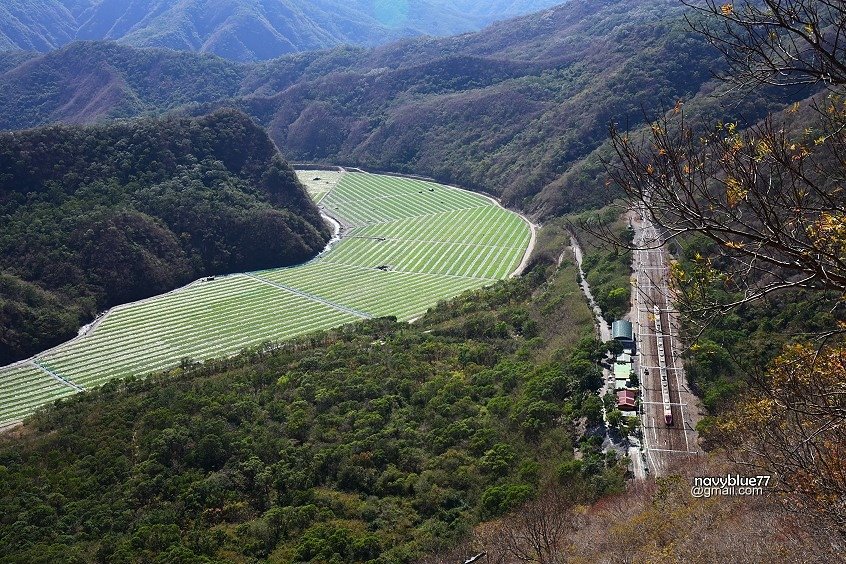 巴層巴墨山 (14).JPG