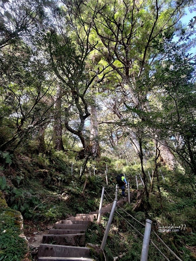 庫哈諾辛山 (13).jpg