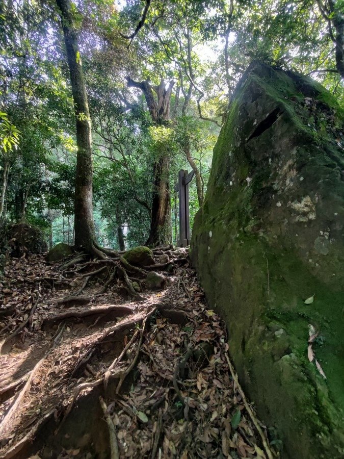 LOTTO登山鞋 (25).jpg