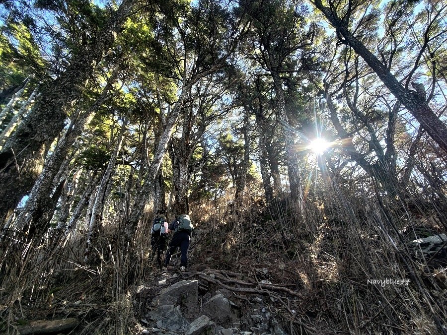 西巒大山 (40).jpg