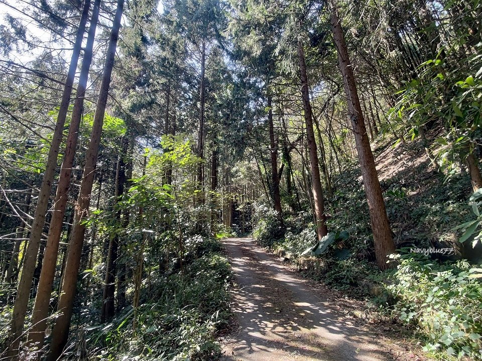 水里馬路馬山線浸山 (5).jpg