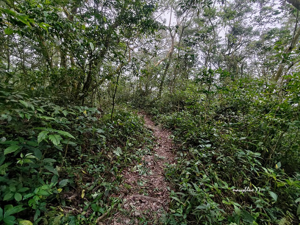 日湯真西大武山 (37).jpg