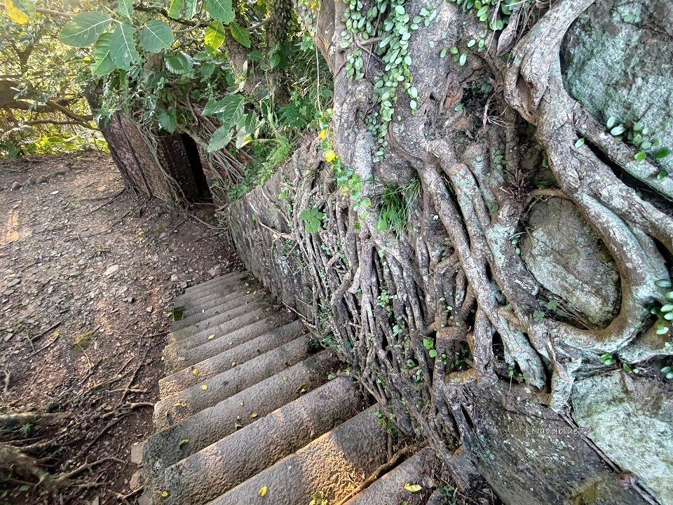 社寮砲台 (14).jpg