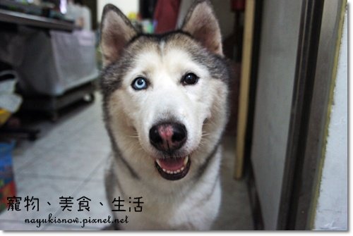 我睡飽想吃了~