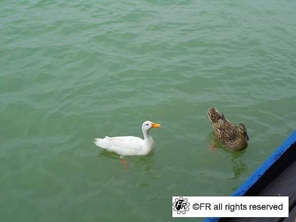 DSC07045.JPG