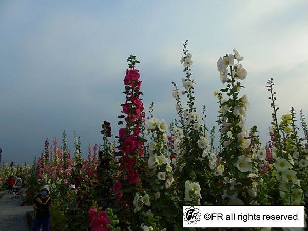 DSC07073.JPG