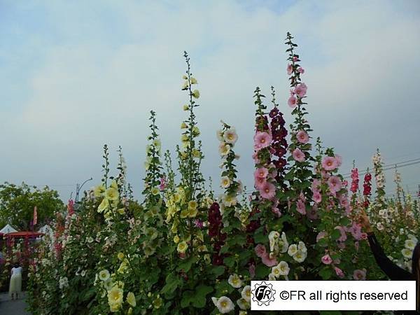 DSC07095.JPG