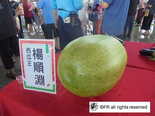 【旅遊景點】台灣-雲林半日旅遊[2025二崙西瓜節]-實境側