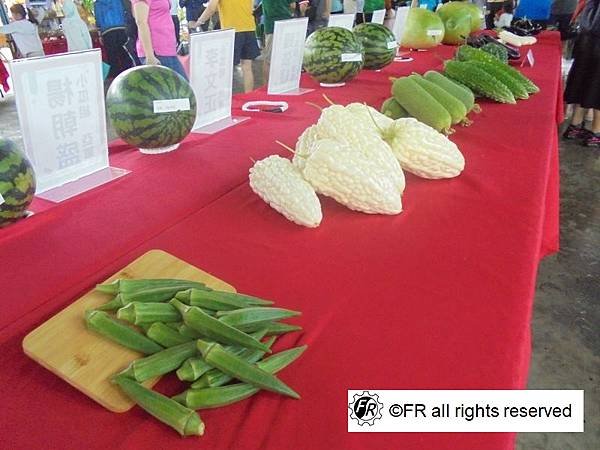 【旅遊景點】台灣-雲林半日旅遊[2025二崙西瓜節]-實境側