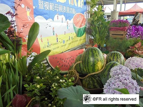 【旅遊景點】台灣-雲林半日旅遊[2025二崙西瓜節]-實境側