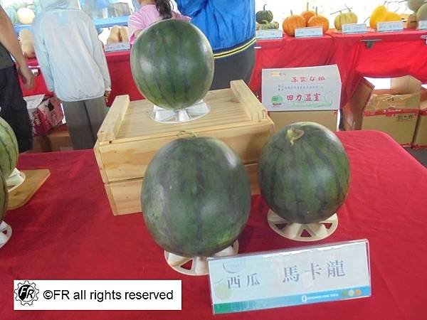 【旅遊景點】台灣-雲林半日旅遊[2025二崙西瓜節]-實境側