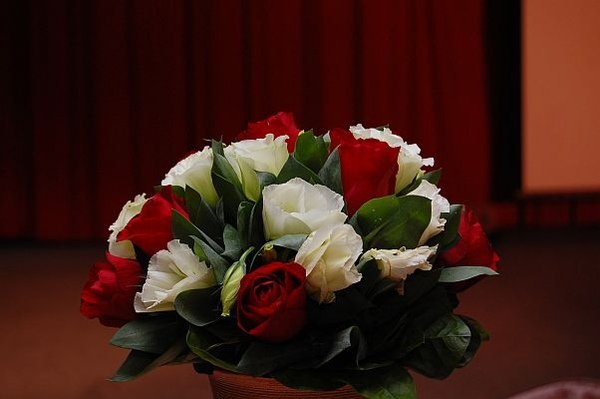 3.花好人團圓