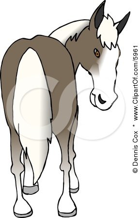 5961-Horses-Ass-Clipart-Picture.jpg