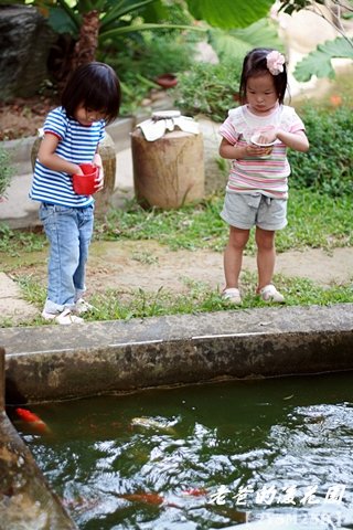 1103老爸的後花園209.JPG