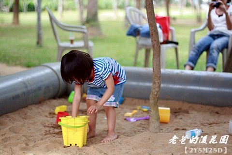 1103老爸的後花園275.JPG