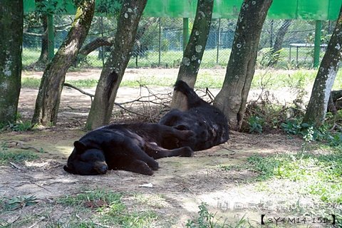 0923關西六福莊164