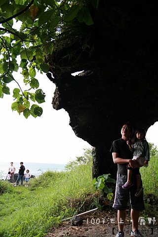 1007池上鹿野台東38