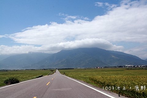 1007池上鹿野台東103