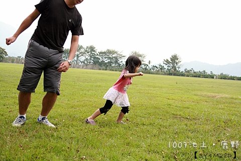 1007池上鹿野台東150