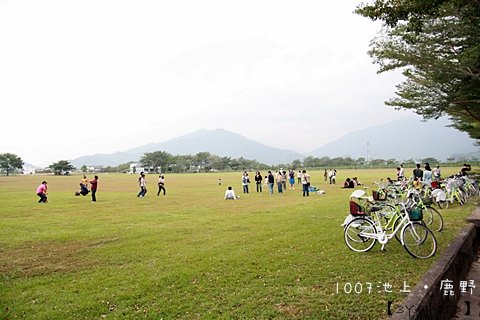 1007池上鹿野台東153