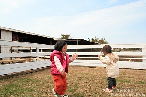 0317巷弄田園39.JPG